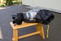 Enjoyyourcamera.com - Regenschutz\n\nFoto von Josef-Florian Glatz - VIELEN DANK!\n\nKommentar des Nutzers:\nMal ein paar praktische Bilder zum Regenschutz "NEU" von enjoy:\nKamera ist die 1D mit 1,4erTK+70-200L2.8IS)\n\nIch finde es echt genial. Es knnte evtl. etwas weiter im Bereich der Kamera haben, aber es reicht und funktioniert tadellos. Blitz passt halt keiner mehr rein.
