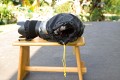 Enjoyyourcamera.com - Regenschutz\n\nFoto von Josef-Florian Glatz - VIELEN DANK!\n\nKommentar des Nutzers:\nMal ein paar praktische Bilder zum Regenschutz "NEU" von enjoy:\nKamera ist die 1D mit 1,4erTK+70-200L2.8IS)\n\nIch finde es echt genial. Es knnte evtl. etwas weiter im Bereich der Kamera haben, aber es reicht und funktioniert tadellos. Blitz passt halt keiner mehr rein.