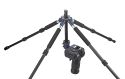 NOVOFLEX QUADROPOD\n\nFoto und Text von Novoflex zur Verffentlichung zum Product Launch - Photokina 2008\n\nVIELEN DANK AN NOVOFLEX FR DIESE FRHZEITIGE INFORMATION!\n\nKommentar und Text aus der Pressemeldung:\n\nMit dem QuadroPod, das die Novoflex Przisionstechnik GmbH zum 60.  Firmenjubilum anlsslich der photokina prsentiert, feiert nicht nur das erste Vierbein-Stativsystem seine Weltpremiere, sondern ein Stativ, das in seiner Vielfltigkeit nicht zu berbieten ist. Verarbeitung und Przision definieren hier eine\nneue Premium-Klasse in der Stativtechnik. \n \nGrundlage des Systems ist eine vllig neu konzipierte Stativbasis, die nach dem Baukastenprinzip mit unterschiedlichen Beinvarianten ausgestattet werden kann. Als Standardvarianten werden Beine aus Aluminium oder Carbon mit jeweils drei oder vier Auszgen angeboten. Mit den derzeit angebotenen Beinvarianten sind\nArbeitshhen von 7 cm bis 1,80 m mglich. Geplant sind zudem Stativbeine, die Arbeitshhen bis 2,30 m zulassen. Darber hinaus lassen sich die unterschiedlichen Beinvarianten untereinander kombinieren und mit Klemm-, Saug- und Steckvorrichtungen aus dem bestehenden Novoflex Programm ergnzen.\nDie Stativbasis gibt es in drei Ausfhrungen:\n\n- Basis\n- Basis mit Mittelsule\n- Variabel mit verstellbaren Sttzwinkeln von 3 x 120 auf 4 x 90.\n\nDie Ausfhrung Variabel lsst sich wahlweise mit drei oder vier Beinen einsetzen. Der Vorteil des vierten Stativbeins liegt in dem enormen Zugewinn an Standfestigkeit. So wird die Standflche des Stativs nahezu verdoppelt. \nGleichzeitig wird eine Tragkraft von 50 kg und mehr erreicht. Besonders bei schweren Objektiven mit langen Brennweiten zeigt das QuadroPod, was in ihm\nsteckt. Whrend bei herkmmlichen Dreibein-Stativen schwere Ausrstungen immer in Richtung eines Beines justiert werden sollten, spielt die Kameraausrichtung bei einem vierbeinigen Stativ keine Rolle. Da wackelt nichts, und eine Kippgefahr ist ausgeschlossen ganz gleich, in welche Richtung die Kamera montiert wird. Ein weiterer ganz entscheidender Vorteil ist die Stativausrichtung bei unebenen Untergrnden. Statt wie bisher die Auszge der Beine zu verndern, reicht beim QuadroPod ein einziger Handgriff: Das vierte Bein wird einfach nur nach innen gedrckt, bis es Bodenkontakt bekommt, und schon steht das Stativ fest und sicher an der gewnschten Stelle. \n\nAuch beim Transport spielt die innovative Neuheit ihre Strken aus. Da sich die Beine von der Stativbasis trennen lassen, sind die Einzelteile bequem und platz sparend zu verstauen. Ein Vorteil nicht nur bei Flugreisen und Trekkingtouren. Auerdem kann der Fotograf bereits im Vorfeld entscheiden, welche Stativausrstung er bentigt und die entsprechenden Beinlngen einpacken. \n\nBei Wanderungen oder Bergtouren knnen die Stativbeine zudem durch Novoflex Wanderstcke ersetzt werden; das spart zustzlich Gewicht ein.\n\nDie Stativbasis ist auerdem mit drei Gewindebohrungen ausgestattet, an denen sich zum Beispiel Haltesysteme fr Blitzgerte, Aufheller, Lichtabhalter (Flags) und viele andere Hilfsmittel befestigen lassen. Beispiel fr diese herausragende Statividee:\nMit flexiblen Haltearmen lassen sich zwei Blitzgerte links und rechts der Kamera fr eine schattenfreie Ausleuchtung bei Makro- und Portrtaufnahmen positionieren.\n\nOb als Standard-, Mini-, Auto- oder Klemmstativ, die Einsatzmglichkeiten des QuadroPod sind so vielseitig wie die Anforderungen und Aufgabenstellung in der Fotografie. Einen kleinen Querschnitt der vielseitigen Mglichkeiten bietet die\nfolgende Bildbersicht. \n\nFazit: Mit dem QuadroPod hat Novoflex ein Stativsystem kreiert, das seines gleichen sucht. \n\nDas Novoflex QuadroPod ist voraussichtlich Ende 2008 lieferbar.\n\nWeitere Informationen und Liefernachweise von: Novoflex\nPrzisionstechnik GmbH, Brahmsstrae 7, 87700 Memmingen,\nTelefon 0 83 31 / 8 88 88, E-Mail: mail@novoflex.de oder im\nInternet unter www.novoflex.de.