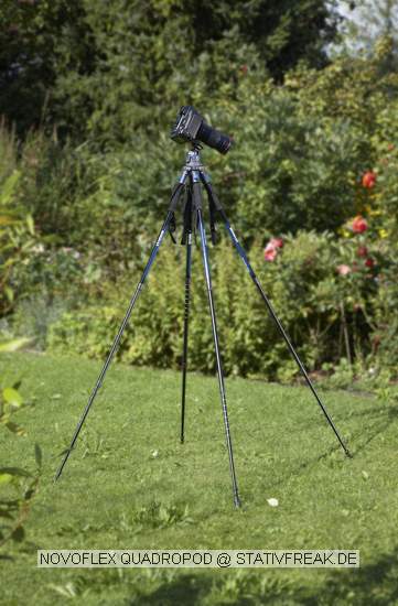 NOVOFLEX QUADROPOD\n\nFoto und Text von Novoflex zur Verffentlichung zum Product Launch - Photokina 2008\n\nVIELEN DANK AN NOVOFLEX FR DIESE FRHZEITIGE INFORMATION!\n\nKommentar und Text aus der Pressemeldung:\n\nMit dem QuadroPod, das die Novoflex Przisionstechnik GmbH zum 60.  Firmenjubilum anlsslich der photokina prsentiert, feiert nicht nur das erste Vierbein-Stativsystem seine Weltpremiere, sondern ein Stativ, das in seiner Vielfltigkeit nicht zu berbieten ist. Verarbeitung und Przision definieren hier eine\nneue Premium-Klasse in der Stativtechnik. \n \nGrundlage des Systems ist eine vllig neu konzipierte Stativbasis, die nach dem Baukastenprinzip mit unterschiedlichen Beinvarianten ausgestattet werden kann. Als Standardvarianten werden Beine aus Aluminium oder Carbon mit jeweils drei oder vier Auszgen angeboten. Mit den derzeit angebotenen Beinvarianten sind\nArbeitshhen von 7 cm bis 1,80 m mglich. Geplant sind zudem Stativbeine, die Arbeitshhen bis 2,30 m zulassen. Darber hinaus lassen sich die unterschiedlichen Beinvarianten untereinander kombinieren und mit Klemm-, Saug- und Steckvorrichtungen aus dem bestehenden Novoflex Programm ergnzen.\nDie Stativbasis gibt es in drei Ausfhrungen:\n\n- Basis\n- Basis mit Mittelsule\n- Variabel mit verstellbaren Sttzwinkeln von 3 x 120 auf 4 x 90.\n\nDie Ausfhrung Variabel lsst sich wahlweise mit drei oder vier Beinen einsetzen. Der Vorteil des vierten Stativbeins liegt in dem enormen Zugewinn an Standfestigkeit. So wird die Standflche des Stativs nahezu verdoppelt. \nGleichzeitig wird eine Tragkraft von 50 kg und mehr erreicht. Besonders bei schweren Objektiven mit langen Brennweiten zeigt das QuadroPod, was in ihm\nsteckt. Whrend bei herkmmlichen Dreibein-Stativen schwere Ausrstungen immer in Richtung eines Beines justiert werden sollten, spielt die Kameraausrichtung bei einem vierbeinigen Stativ keine Rolle. Da wackelt nichts, und eine Kippgefahr ist ausgeschlossen ganz gleich, in welche Richtung die Kamera montiert wird. Ein weiterer ganz entscheidender Vorteil ist die Stativausrichtung bei unebenen Untergrnden. Statt wie bisher die Auszge der Beine zu verndern, reicht beim QuadroPod ein einziger Handgriff: Das vierte Bein wird einfach nur nach innen gedrckt, bis es Bodenkontakt bekommt, und schon steht das Stativ fest und sicher an der gewnschten Stelle. \n\nAuch beim Transport spielt die innovative Neuheit ihre Strken aus. Da sich die Beine von der Stativbasis trennen lassen, sind die Einzelteile bequem und platz sparend zu verstauen. Ein Vorteil nicht nur bei Flugreisen und Trekkingtouren. Auerdem kann der Fotograf bereits im Vorfeld entscheiden, welche Stativausrstung er bentigt und die entsprechenden Beinlngen einpacken. \n\nBei Wanderungen oder Bergtouren knnen die Stativbeine zudem durch Novoflex Wanderstcke ersetzt werden; das spart zustzlich Gewicht ein.\n\nDie Stativbasis ist auerdem mit drei Gewindebohrungen ausgestattet, an denen sich zum Beispiel Haltesysteme fr Blitzgerte, Aufheller, Lichtabhalter (Flags) und viele andere Hilfsmittel befestigen lassen. Beispiel fr diese herausragende Statividee:\nMit flexiblen Haltearmen lassen sich zwei Blitzgerte links und rechts der Kamera fr eine schattenfreie Ausleuchtung bei Makro- und Portrtaufnahmen positionieren.\n\nOb als Standard-, Mini-, Auto- oder Klemmstativ, die Einsatzmglichkeiten des QuadroPod sind so vielseitig wie die Anforderungen und Aufgabenstellung in der Fotografie. Einen kleinen Querschnitt der vielseitigen Mglichkeiten bietet die\nfolgende Bildbersicht. \n\nFazit: Mit dem QuadroPod hat Novoflex ein Stativsystem kreiert, das seines gleichen sucht. \n\nDas Novoflex QuadroPod ist voraussichtlich Ende 2008 lieferbar.\n\nWeitere Informationen und Liefernachweise von: Novoflex\nPrzisionstechnik GmbH, Brahmsstrae 7, 87700 Memmingen,\nTelefon 0 83 31 / 8 88 88, E-Mail: mail@novoflex.de oder im\nInternet unter www.novoflex.de.