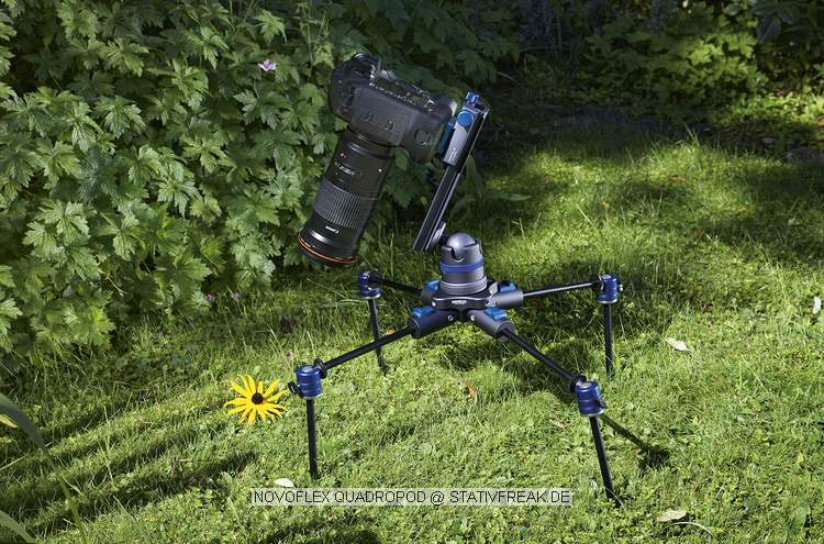 NOVOFLEX QUADROPOD\n\nFoto und Text von Novoflex zur Verffentlichung zum Product Launch - Photokina 2008\n\nVIELEN DANK AN NOVOFLEX FR DIESE FRHZEITIGE INFORMATION!\n\nKommentar und Text aus der Pressemeldung:\n\nMit dem QuadroPod, das die Novoflex Przisionstechnik GmbH zum 60.  Firmenjubilum anlsslich der photokina prsentiert, feiert nicht nur das erste Vierbein-Stativsystem seine Weltpremiere, sondern ein Stativ, das in seiner Vielfltigkeit nicht zu berbieten ist. Verarbeitung und Przision definieren hier eine\nneue Premium-Klasse in der Stativtechnik. \n \nGrundlage des Systems ist eine vllig neu konzipierte Stativbasis, die nach dem Baukastenprinzip mit unterschiedlichen Beinvarianten ausgestattet werden kann. Als Standardvarianten werden Beine aus Aluminium oder Carbon mit jeweils drei oder vier Auszgen angeboten. Mit den derzeit angebotenen Beinvarianten sind\nArbeitshhen von 7 cm bis 1,80 m mglich. Geplant sind zudem Stativbeine, die Arbeitshhen bis 2,30 m zulassen. Darber hinaus lassen sich die unterschiedlichen Beinvarianten untereinander kombinieren und mit Klemm-, Saug- und Steckvorrichtungen aus dem bestehenden Novoflex Programm ergnzen.\nDie Stativbasis gibt es in drei Ausfhrungen:\n\n- Basis\n- Basis mit Mittelsule\n- Variabel mit verstellbaren Sttzwinkeln von 3 x 120 auf 4 x 90.\n\nDie Ausfhrung Variabel lsst sich wahlweise mit drei oder vier Beinen einsetzen. Der Vorteil des vierten Stativbeins liegt in dem enormen Zugewinn an Standfestigkeit. So wird die Standflche des Stativs nahezu verdoppelt. \nGleichzeitig wird eine Tragkraft von 50 kg und mehr erreicht. Besonders bei schweren Objektiven mit langen Brennweiten zeigt das QuadroPod, was in ihm\nsteckt. Whrend bei herkmmlichen Dreibein-Stativen schwere Ausrstungen immer in Richtung eines Beines justiert werden sollten, spielt die Kameraausrichtung bei einem vierbeinigen Stativ keine Rolle. Da wackelt nichts, und eine Kippgefahr ist ausgeschlossen ganz gleich, in welche Richtung die Kamera montiert wird. Ein weiterer ganz entscheidender Vorteil ist die Stativausrichtung bei unebenen Untergrnden. Statt wie bisher die Auszge der Beine zu verndern, reicht beim QuadroPod ein einziger Handgriff: Das vierte Bein wird einfach nur nach innen gedrckt, bis es Bodenkontakt bekommt, und schon steht das Stativ fest und sicher an der gewnschten Stelle. \n\nAuch beim Transport spielt die innovative Neuheit ihre Strken aus. Da sich die Beine von der Stativbasis trennen lassen, sind die Einzelteile bequem und platz sparend zu verstauen. Ein Vorteil nicht nur bei Flugreisen und Trekkingtouren. Auerdem kann der Fotograf bereits im Vorfeld entscheiden, welche Stativausrstung er bentigt und die entsprechenden Beinlngen einpacken. \n\nBei Wanderungen oder Bergtouren knnen die Stativbeine zudem durch Novoflex Wanderstcke ersetzt werden; das spart zustzlich Gewicht ein.\n\nDie Stativbasis ist auerdem mit drei Gewindebohrungen ausgestattet, an denen sich zum Beispiel Haltesysteme fr Blitzgerte, Aufheller, Lichtabhalter (Flags) und viele andere Hilfsmittel befestigen lassen. Beispiel fr diese herausragende Statividee:\nMit flexiblen Haltearmen lassen sich zwei Blitzgerte links und rechts der Kamera fr eine schattenfreie Ausleuchtung bei Makro- und Portrtaufnahmen positionieren.\n\nOb als Standard-, Mini-, Auto- oder Klemmstativ, die Einsatzmglichkeiten des QuadroPod sind so vielseitig wie die Anforderungen und Aufgabenstellung in der Fotografie. Einen kleinen Querschnitt der vielseitigen Mglichkeiten bietet die\nfolgende Bildbersicht. \n\nFazit: Mit dem QuadroPod hat Novoflex ein Stativsystem kreiert, das seines gleichen sucht. \n\nDas Novoflex QuadroPod ist voraussichtlich Ende 2008 lieferbar.\n\nWeitere Informationen und Liefernachweise von: Novoflex\nPrzisionstechnik GmbH, Brahmsstrae 7, 87700 Memmingen,\nTelefon 0 83 31 / 8 88 88, E-Mail: mail@novoflex.de oder im\nInternet unter www.novoflex.de.
